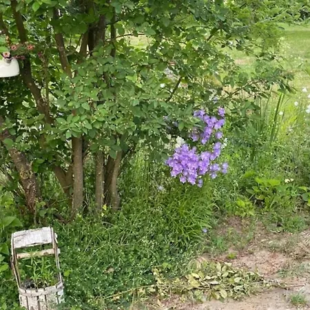 Kulturgutleben Boutiquehotel Seminarhaus Casa de hóspedes Mollenbeck