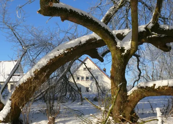 Kulturgutleben Boutiquehotel Seminarhaus Penzion Mollenbeck